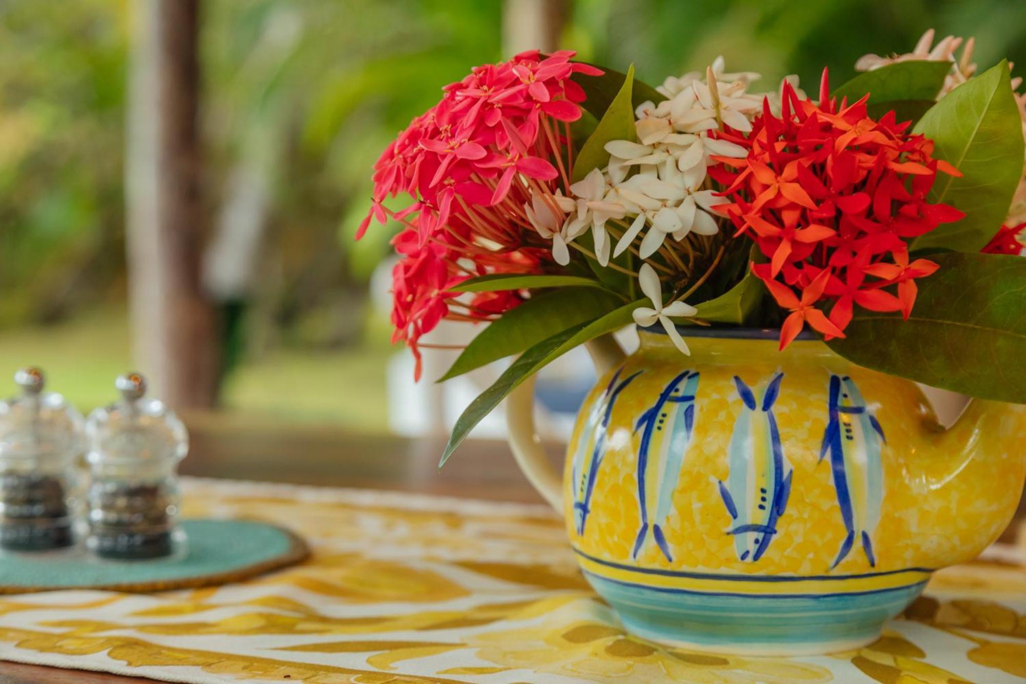 Solea Villa Tropical Santa Marta  Extérieur photo
