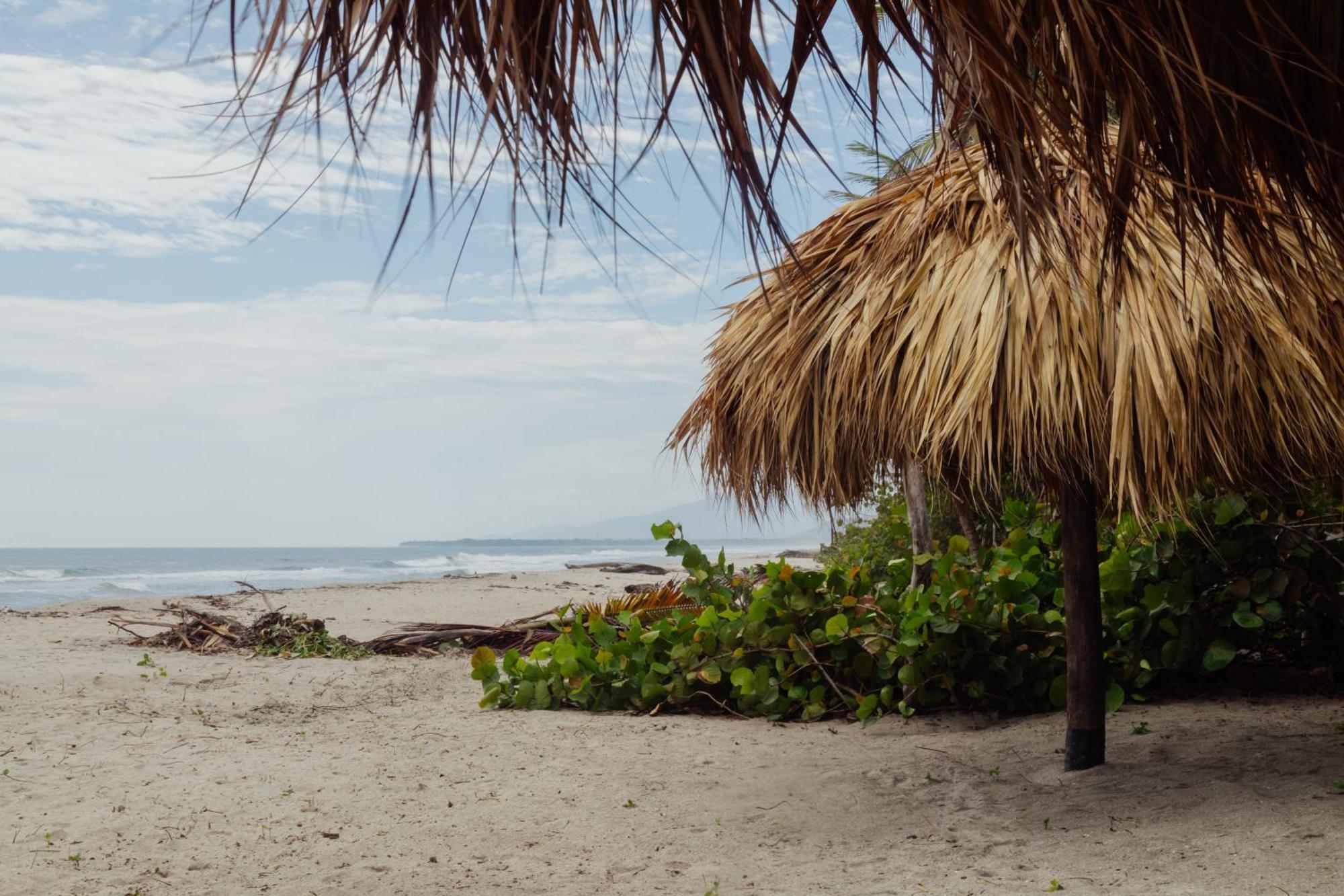 Solea Villa Tropical Santa Marta  Extérieur photo