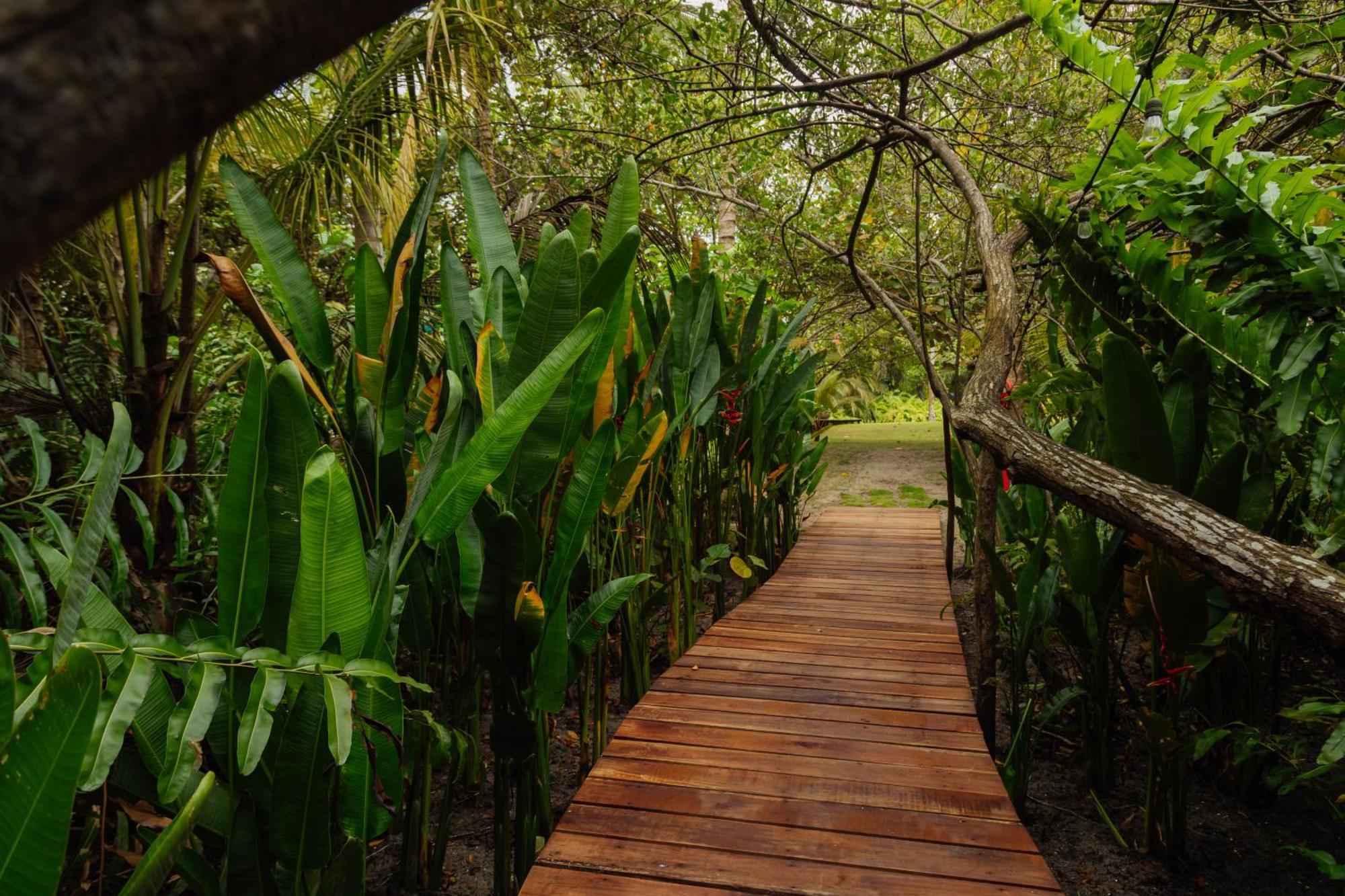 Solea Villa Tropical Santa Marta  Extérieur photo